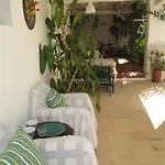 Authentic In With Garden