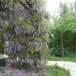 Authentic In With Garden *