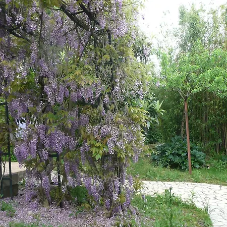 Authentic In With Garden *