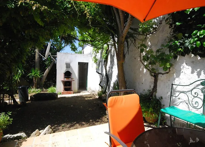 Authentic In With Garden *