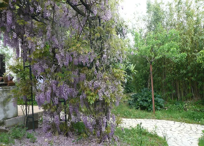 Authentic In With Garden *